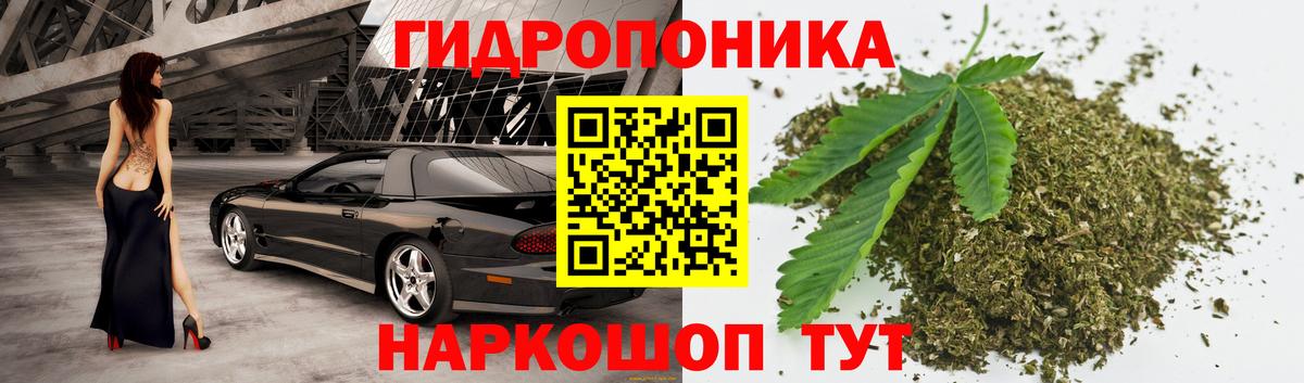Канабис марихуана Волхов